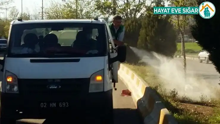 Adıyaman Belediyesi yabani otları imha ediyor