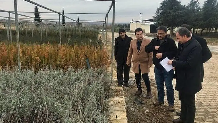 Adıyaman Belediyesinden, 'Yeşil Adıyaman' projesi