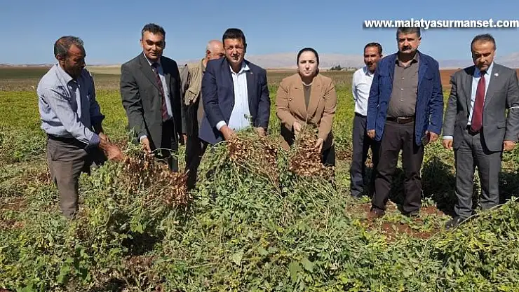 Adıyaman çiftçisi ilk kez yer fıstığını deniyor