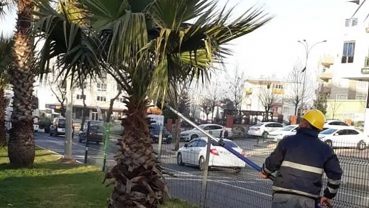 Adıyaman'da  ağaçlara bahar bakımı