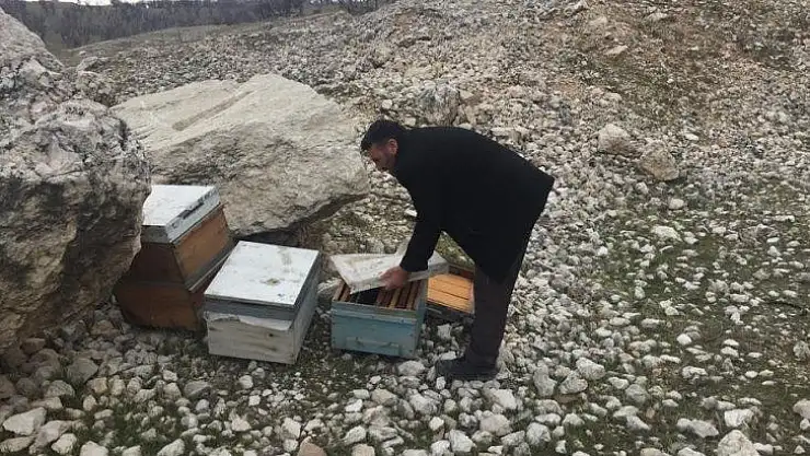Adıyaman'da 16 adet arılı kovan çalındı