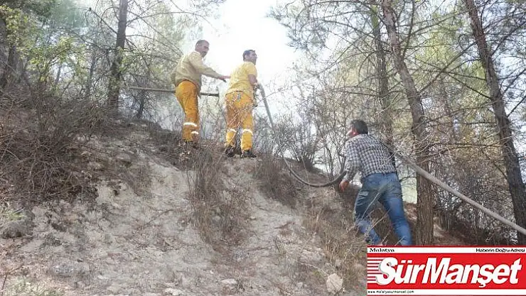 Adıyaman'da, korkutan orman yangını