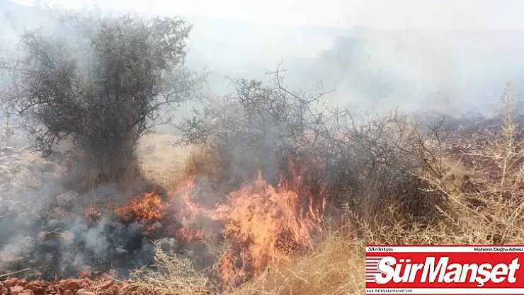 Adıyaman'da, orman yangını korkuttu