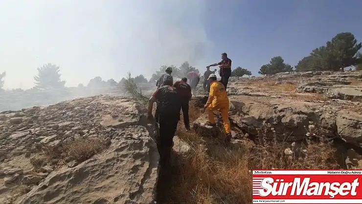Adıyaman'da orman yangını