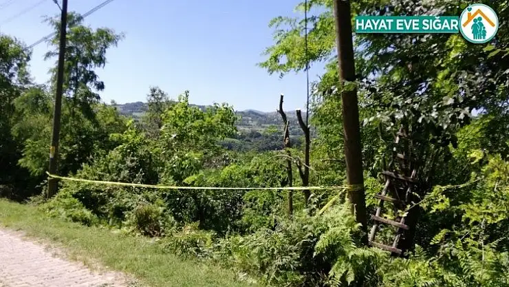 Ağaç budama cinayeti sanığına 25 yıl hapis