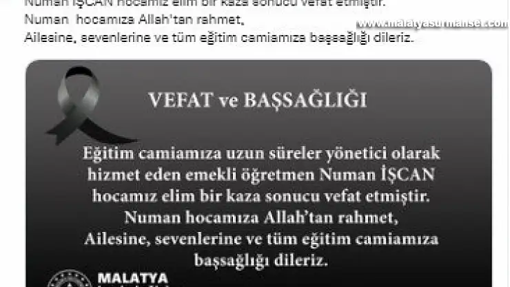 Ağaçtan düşen emekli müdür hayatını kaybetti