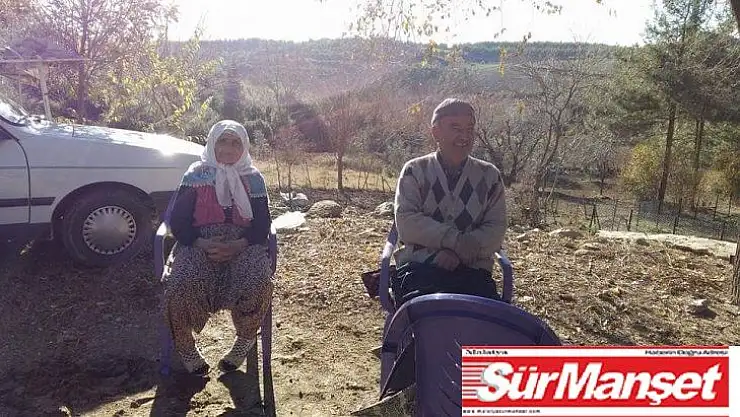 Ağaçtan düşen yaşlı kadın hayatını kaybetti