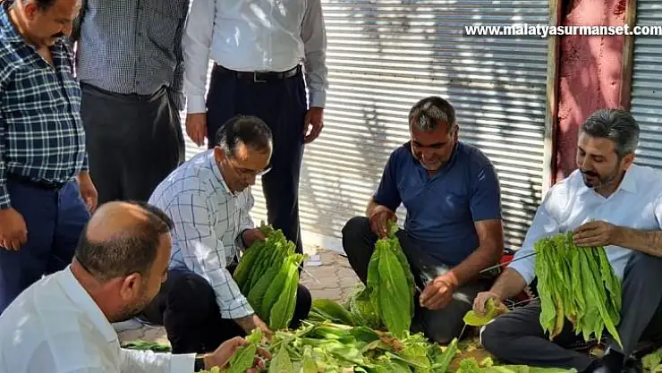 AK Parti heyeti Kahta'nın merkez ve köylerini gezdi