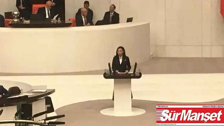 AK Partili Milletvekili Durgut: 'Türkçe ne yazık ki yozlaştırıldı'