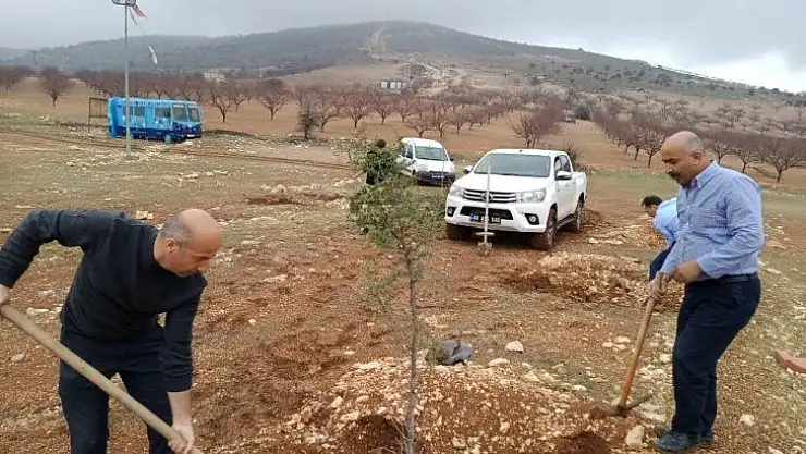 Akçadağ'da fidanlar toprakla buluştu
