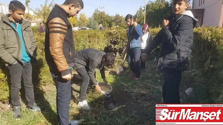 Akçadağ'da öğrenciler fidan dikti