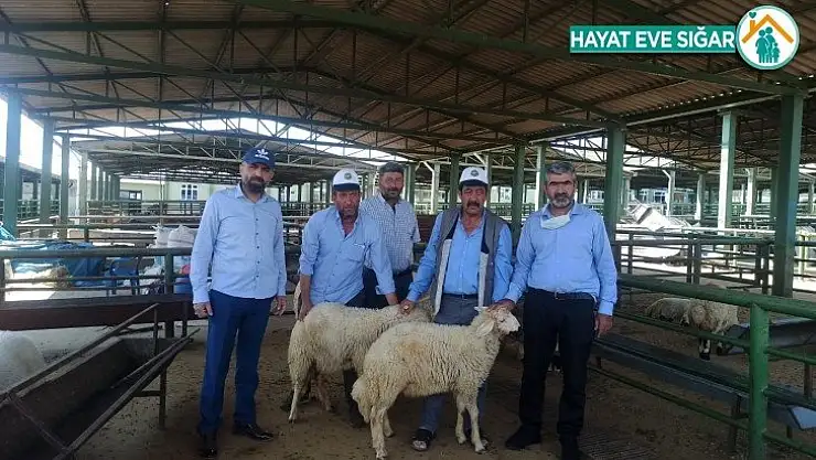 Akın, canlı hayvan pazarını ziyaret etti