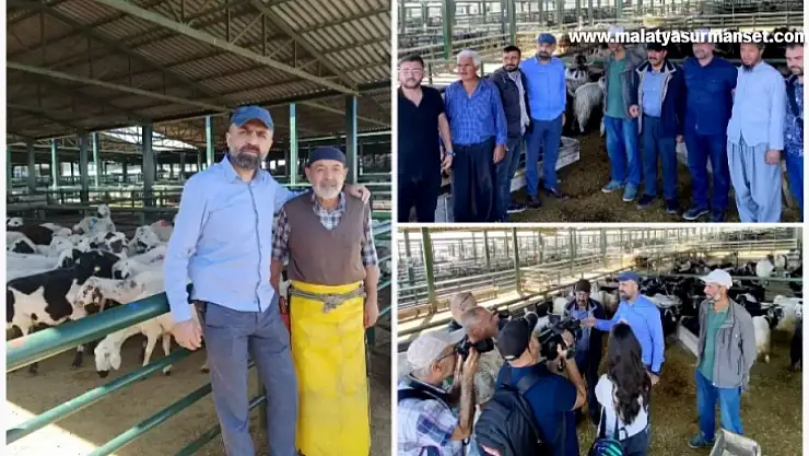 Akın' Kurbanlıklar Alıcısını Bekliyor'
