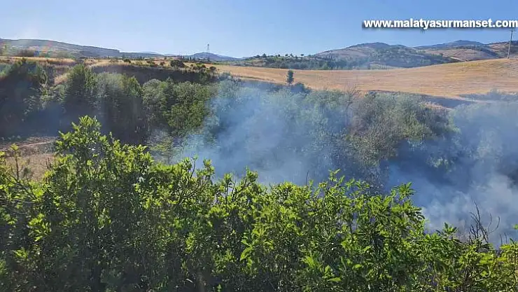 Anız yangınında 1 kişi dumandan zehirlendi