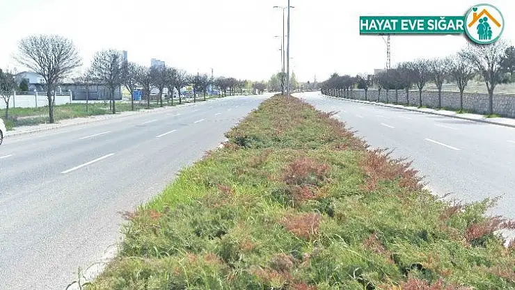 Ankara Büyükşehir Belediyesinden sulamada tasarruf dönemi