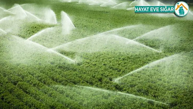 Ankara'da 161 bin 845 dekar tarım arazisi suyla buluşacak