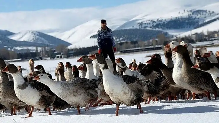 Ankara'da Kars, Ardahan, Iğdır Günleri başlıyor