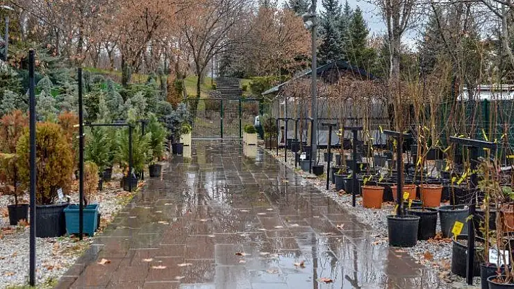 Ankara'da yerli bitki üreticileri kazanacak