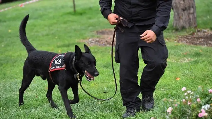 Ankara itfaiyesi K-9 köpekleri artık lisanslı