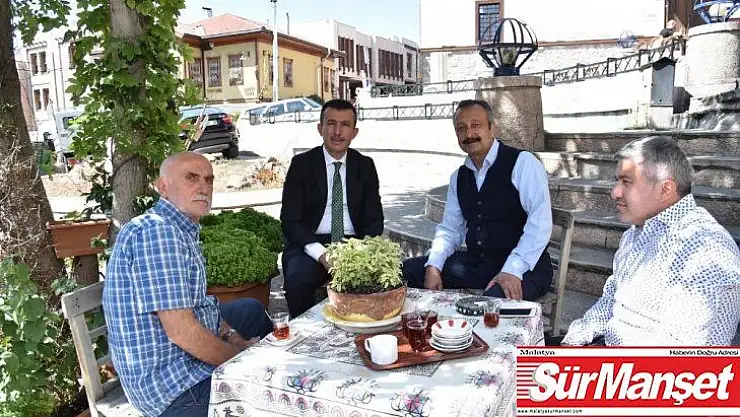 Ankara Kalesi'nin çınarları
