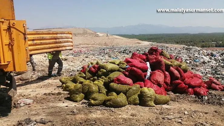 Antalya'da 4 ton kaçak midye ele geçirildi
