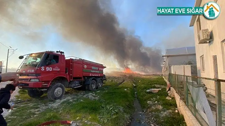 Antalya'da korkutan sazlık yangını
