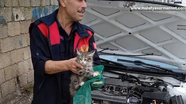 Aracın motor kısmına sıkışan kedi kurtarıldı