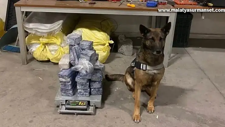 Aracın zulasındaki 31 kilogram eroini 'Su' buldu