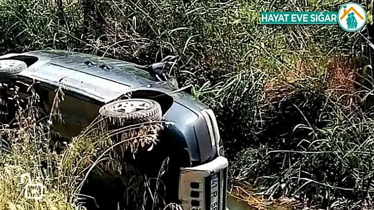 Aracına giren arı yüzünden direksiyon hakimiyetini kaybetti dereye yuvarlandı