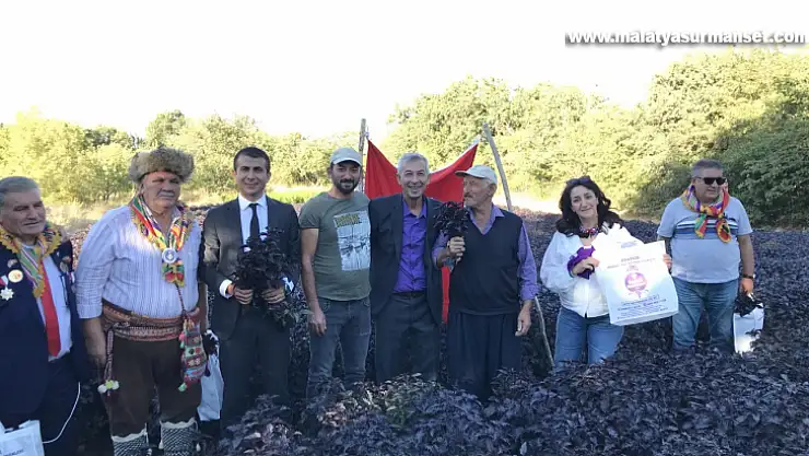 Arapgir'de festival dolu dolu geçti