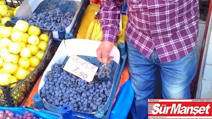 Arapgir üzümünün fiyatı cep yakıyor