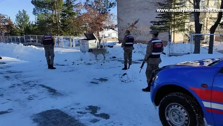 Arguvan'da jandarma sokak hayvanlarını unutmadı
