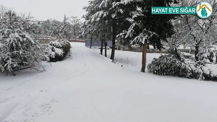 Arguvan'da kar etkili oluyor