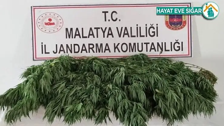 Arguvan jandarma ekipleri suçlulara göz açtırmıyor