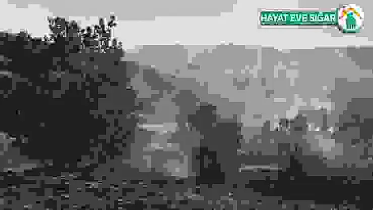 Arıcak'taki orman yangını söndürüldü