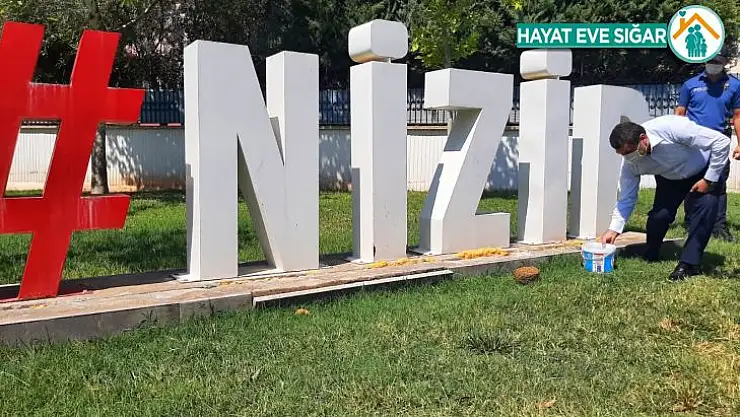 Aşırı sıcaklarda sokak hayvanları için seferber oldular