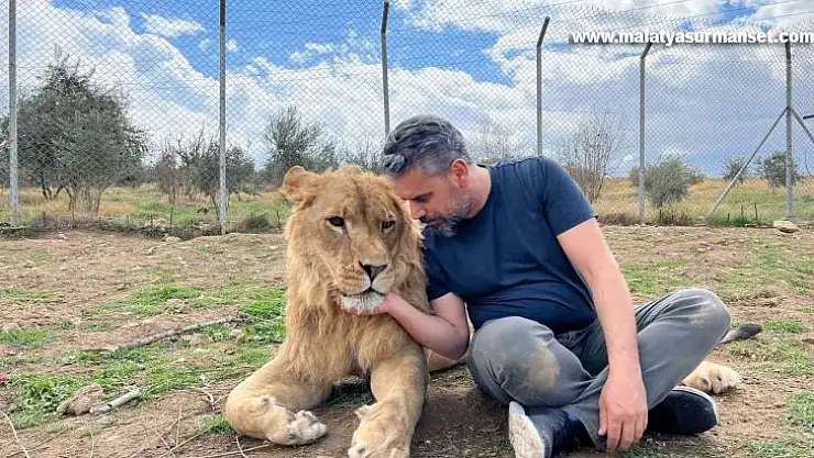 Aslan terbiyecisi Akbey, hayvanları anlamanın yollarını anlattı