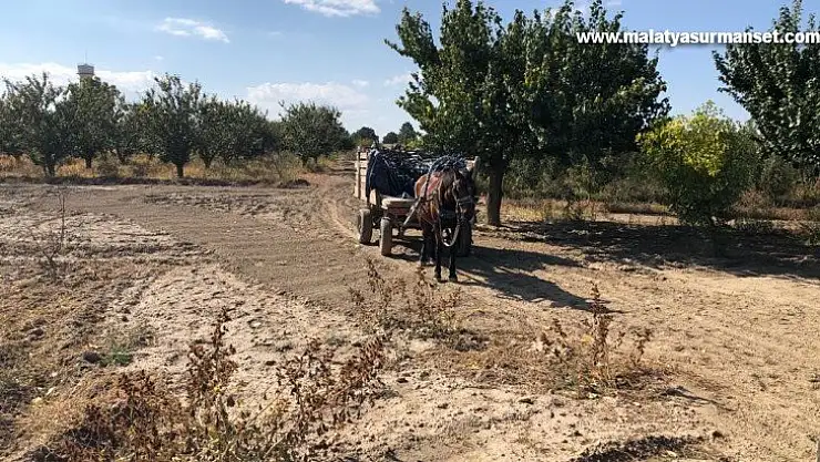 At arabası ile hırsızlığa suç üstü