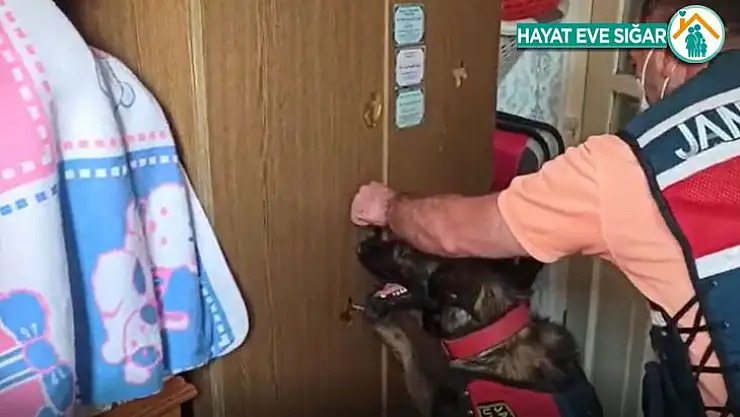 Bağ evinde 10 kilo 880 gram esrar ele geçirildi