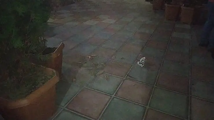 Bağcılar'da cam silerken 11. kattan düşen kadın hayatını kaybetti