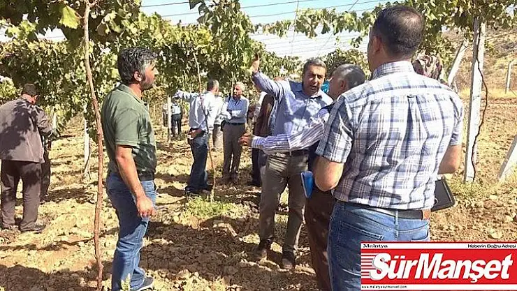 Bağlarda çardak sistemi anlatıldı