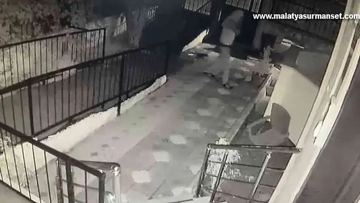 Bahçedeki yavru köpeği kucaklayarak çaldı