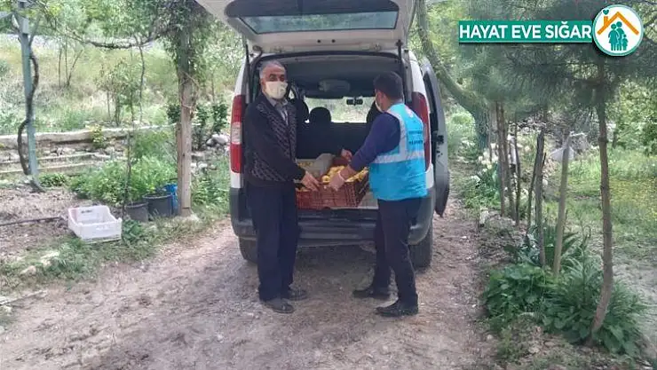 Bahçesinde yetiştirdiği elmaları kampanyaya bağışladı