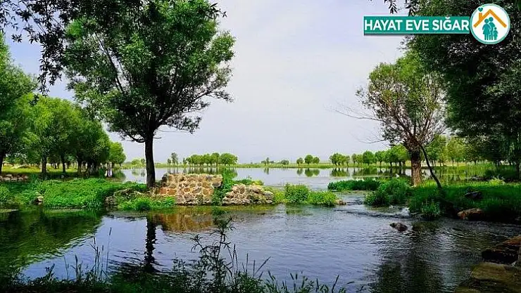 Bakan Kurum: '204 yeni millet bahçesi yapıyoruz'