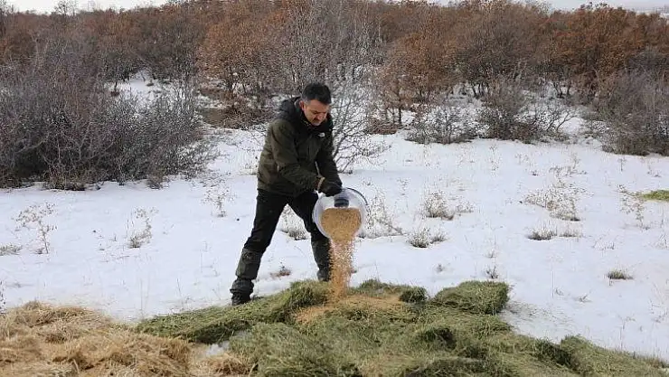 Bakan Pakdemirli, doğa ve yaban hayatıyla iç içe bir gün geçirdi
