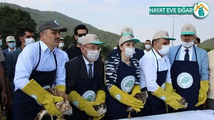 Bakan Pakdemirli doğaya şahin ve 102 keklik saldı