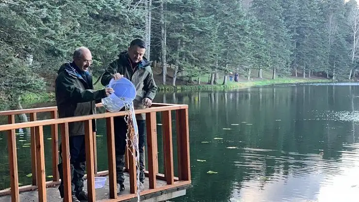 Bakan Pakdemirli kara akbabayı doğaya saldı