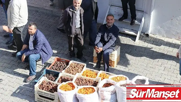 Bakan Pakdemirli'nin açıklamaları Malatyalı kayısı üreticilerini sevindirdi