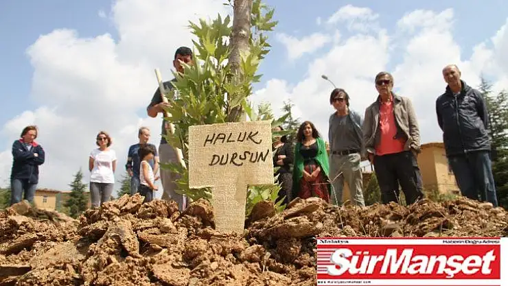 Bakan Yardımcısı Dursun'un adı sanatçıların köyündeki çınarlıkta yaşatılacak