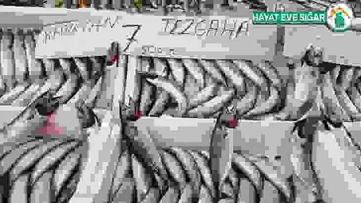 Balık alanda razı satan da